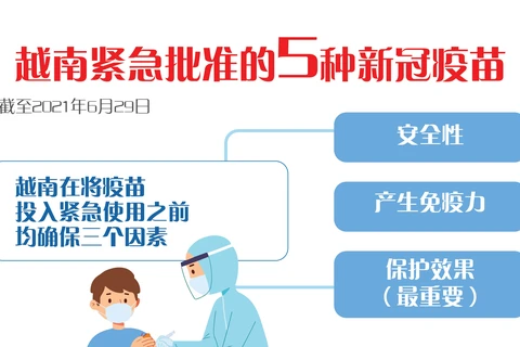 图表新闻：越南紧急批准的5种新冠疫苗