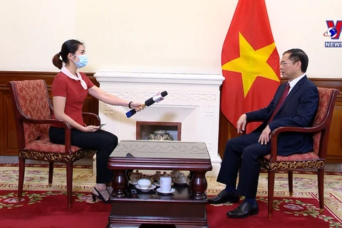 海外越南人侨务工作是越南党和国家外交政策支柱