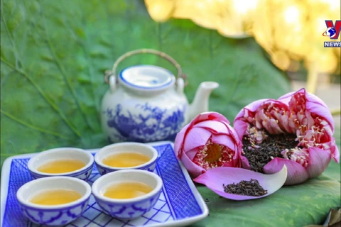 西湖莲花茶——首都河内人的文化精髓 