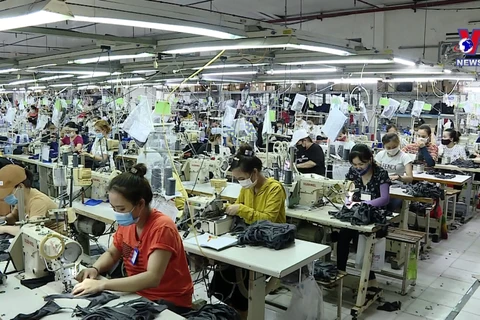 经济学家高度评价越南制造业的优势