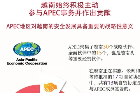 图表新闻：越南始终积极主动参与APEC事务并作出贡献