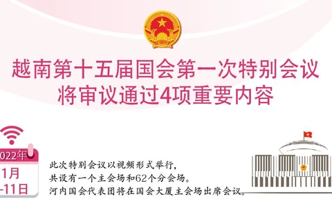 图表新闻：越南第十五届国会第一次特别会议将审议通过4项重要内容