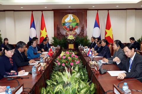 越南国会主席阮氏金银对老挝进行访问（组图）