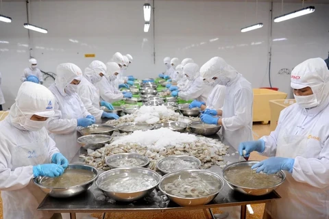  越南虾类产业想方设法征服国际市场