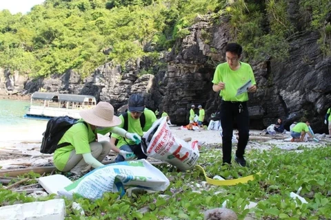  越南青年携手减少海洋塑料垃圾污染