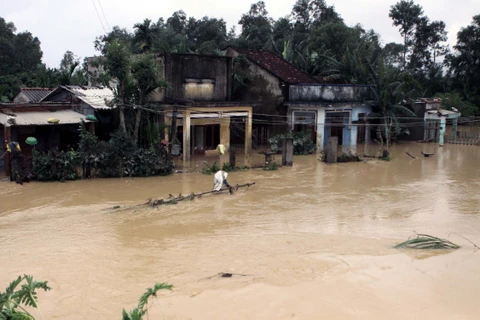 ​暴雨洪水已造成广义省10间房子完全被毁、69间受损及超过1800间被洪水淹没（图片来源：越通社）