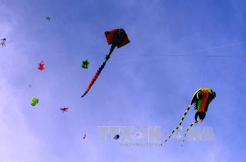 第7届国际风筝节12月11日在巴地头顿省头顿度假区​落下帷幕（图片来源：越通社）