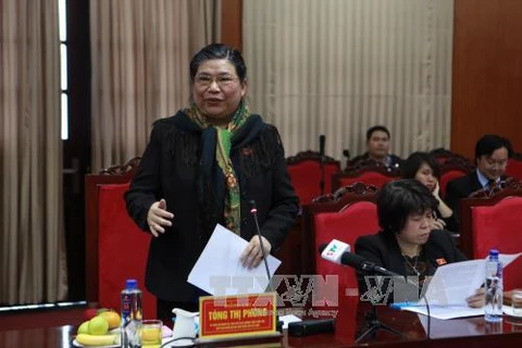越南国会常务副主席丛氏放在会上发表讲话（图片来源：越通社）