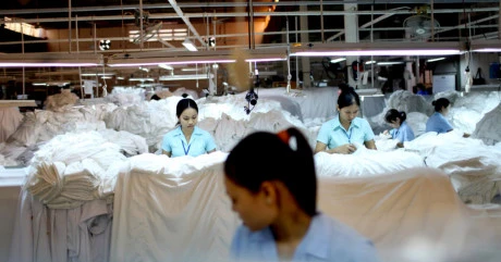 ​​合隆（越南）有限公司是永福省立石县第三个外商独资公司（图片来源：​因特网）