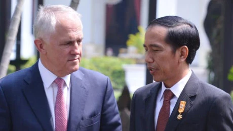 澳大利亚总理马尔科姆·特恩布尔与印尼总统佐科·维多多（图片来源：theaustralian.com.au）