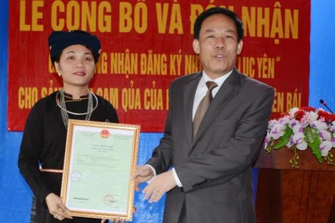安沛省人民委员会副主席向禄安橙合作社经理颁发“禄安橙”集体商标证书。