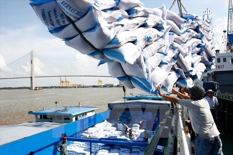 延长对菲大米出口协议有助于越南巩固自己在世界大米贸易版图上的地位（图：越通社）
