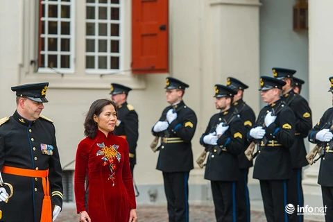 越南驻荷兰大使吴氏和（图片来源：http://infonet.vn/）