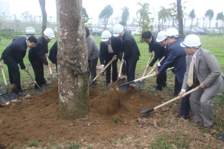河内市领导人参加“世代铭记胡伯伯之恩”植树节