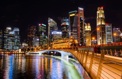 2017年新加坡投资活动或将保持稳定（图片来源：越通社）