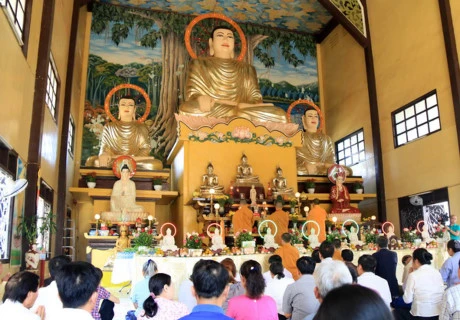 庞龙寺国泰民安祈求大典吸引众多旅居老挝越南人参加（图片来源：越通社）