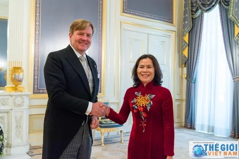 新任越南驻荷兰大使吴氏和与荷兰国王威廉-亚历山大合影（图片来源：因特网）