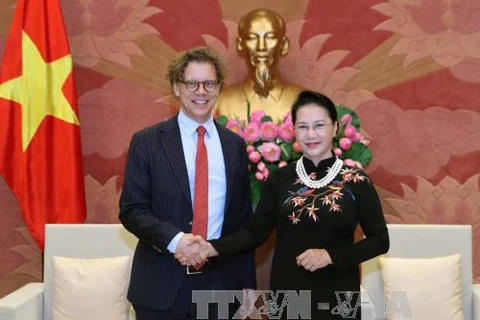 越南国会主席阮氏金银与瑞典驻越大使佩雷里克•霍格贝尔格。