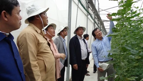 老挝占巴塞省省委书记兼省长本通•迪维塞率团访问胡志明市高科技农业园区