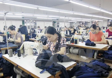 在同奈省的纺织品加工企业（图片来源：越通社）