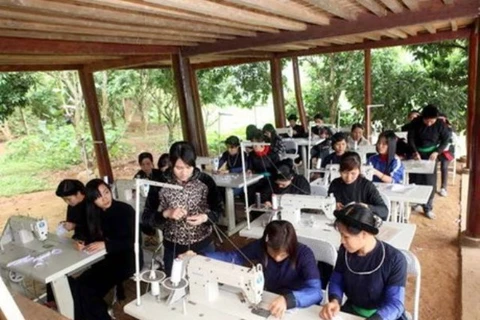越南注重为妇女进行职业培训（图片来源：因特网）