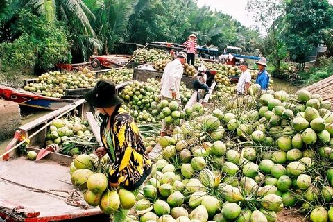 槟椥省——“椰子之乡”