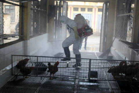 人感染甲型H7N9禽流感防控演练现场（图片来源于《新报》）