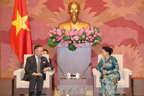 越南国会主席阮氏金银（右）会见捷克新任驻越南大使。（图片来源：越通社）