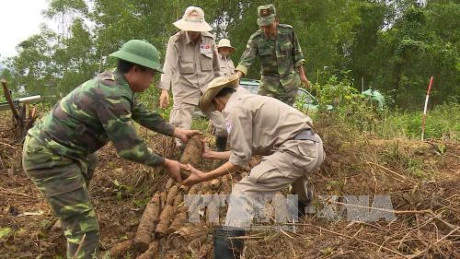 美国“越南和平树组织”协助越南广治省克服战后遗留炸弹地雷后果。