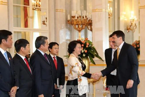 越南国会主席阮氏金银会见匈牙利总统阿戴尔•亚诺什。（图片来源：越通社）