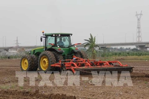 越南希望学习借鉴爱尔兰高科技农业发展经验。