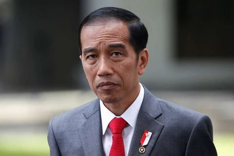 印度尼西亚总统佐科。