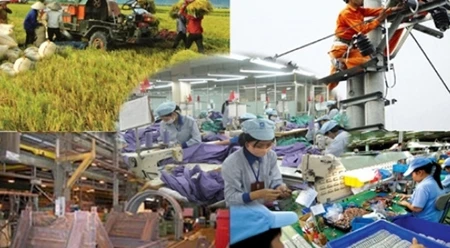 入世10年后，越南在许多领域上取得可观的成就。
