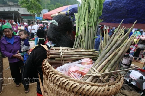 大岭、胡透、新水湖各乡的蒙族妇女大清早就赶远路带来农产品出售。