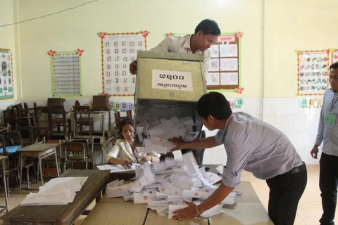 柬埔寨乡分区理事会选举计票工作。（图片来源：在线年轻报）