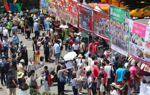 此次越南文化节吸引众多参观者。