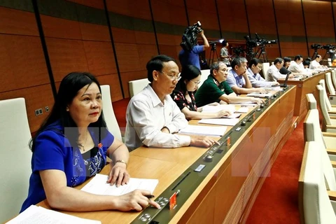 越南国会代表。（图片来源：越通社）