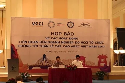 越南工商会（VCCI）就企业活动与2017年亚太经合组织（APEC）领导人非正式会议召开记者会