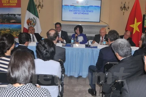 越南驻墨西哥大使黎玲兰在研讨会上发表讲话。