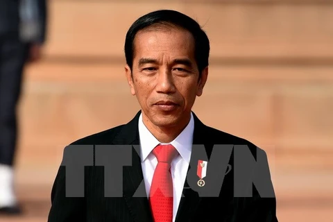 印度尼西亚总统佐科。（图片来源：越通社）