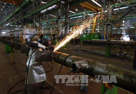瓦尔德 （VARD）船厂计划招聘300名越南焊接工人和钢铁工人。