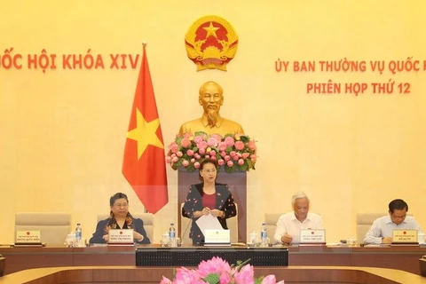 国会主席阮氏金银在会议上发表讲话。