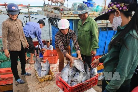 越南中部地区渔民海洋采购活动。（图片来源：越通社）