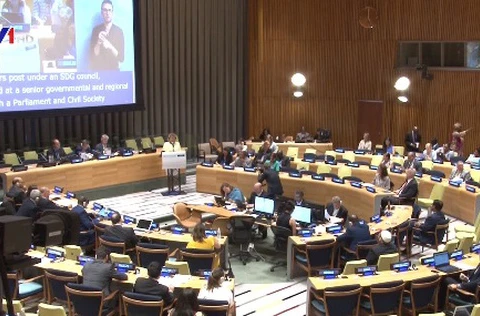 2017年联合国经社理事会高级别会议