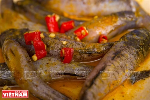 姜黄焖虾虎鱼成菜。