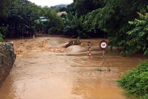 四号台风登陆 越南中部各省受灾严重。（图片来源：因特网）