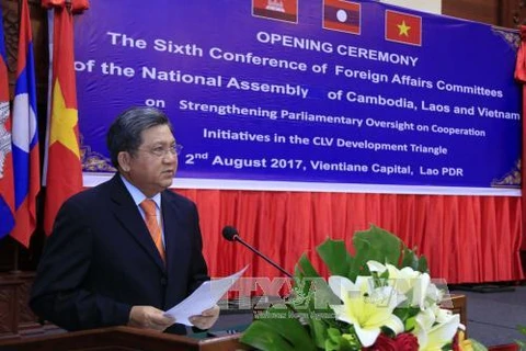 越南国会对外委员会主任阮文饶在会上发表讲话。