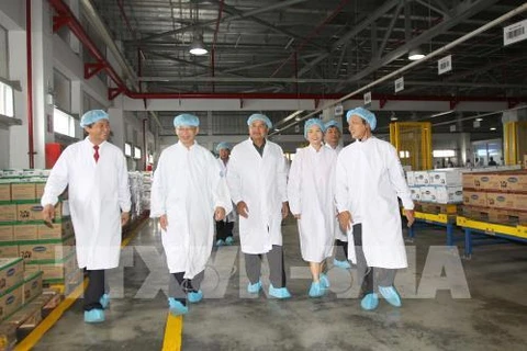 吉乔·凯坎匹吞率团走访Mega乳业厂。（图片来源：越通社）