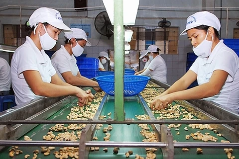 越南企业对东盟经济发展作出重要贡献。