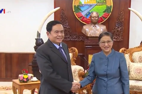 越南祖国阵线中央委员会主席陈青敏礼节性拜会老挝国会主席巴妮•雅陶都。